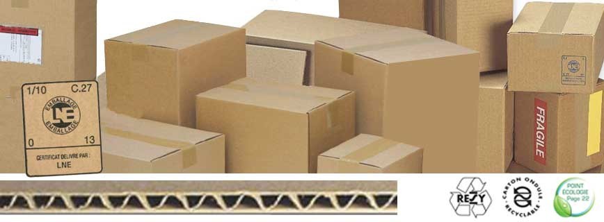 Bac à bec carton 35 x 15 x 11 cm (paquet de 50) - CBJ Emballages